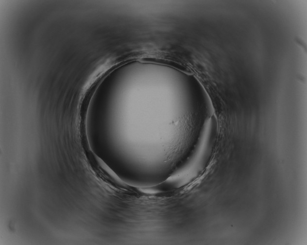 X0000093440150200710121340