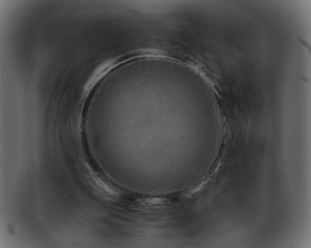 X0000093440151200710121340