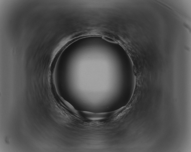 X0000093440152200710121340