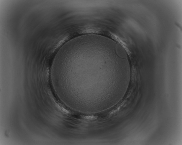 X0000093440153200710121340