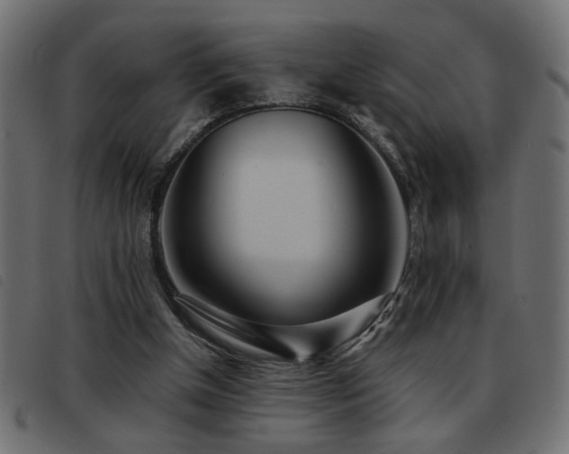 X0000093440154200710121340