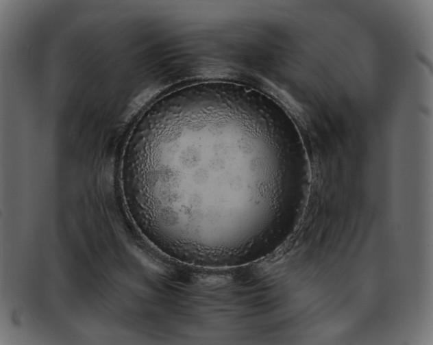 X0000093440155200710121340