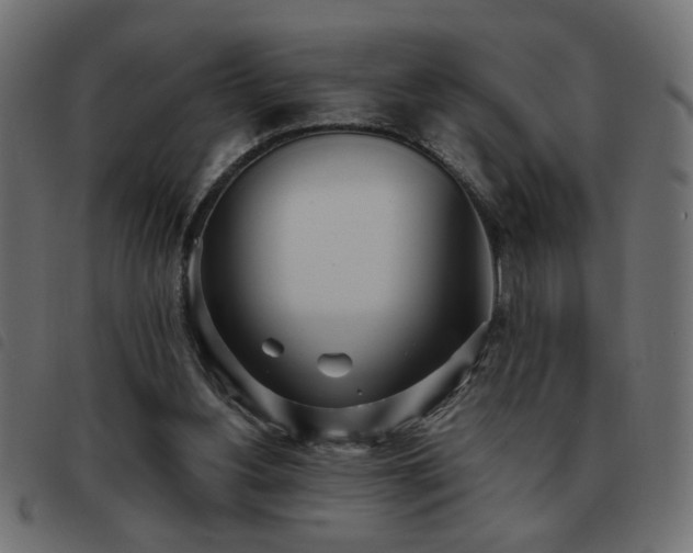 X0000093440156200710121340