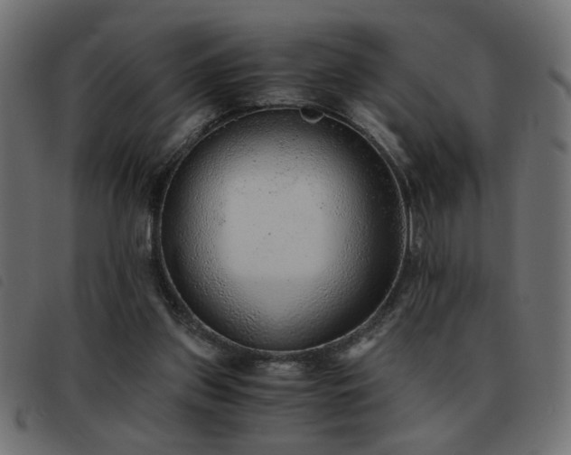 X0000093440157200710121340
