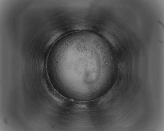 X0000093440159200710121340