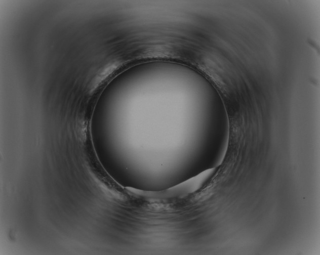 X0000093440160200710121340