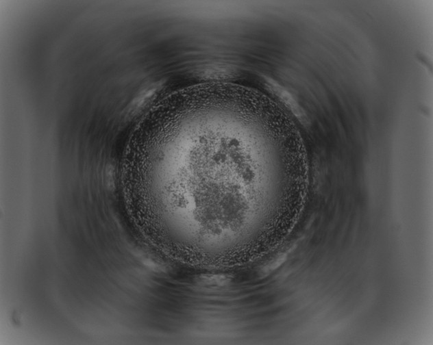 X0000093440161200710121340