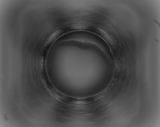 X0000093440163200710121340