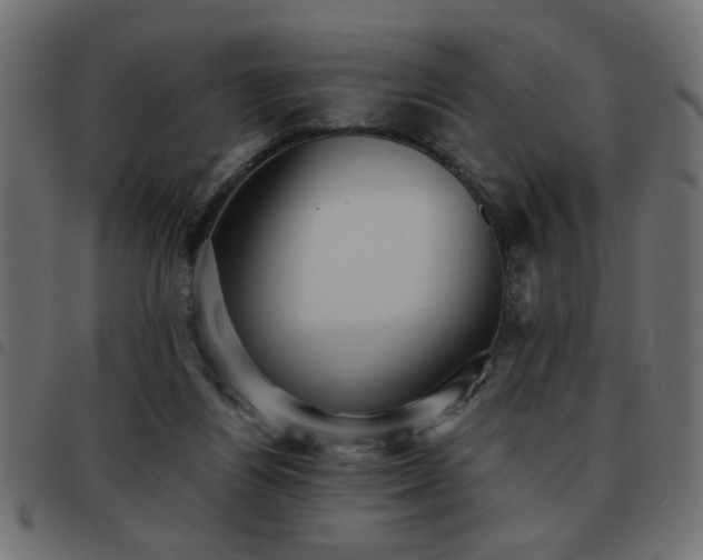 X0000093440164200710121340