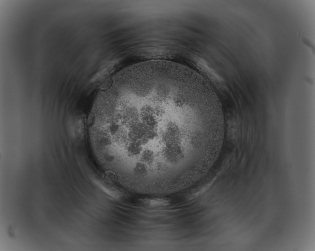 X0000093440165200710121340