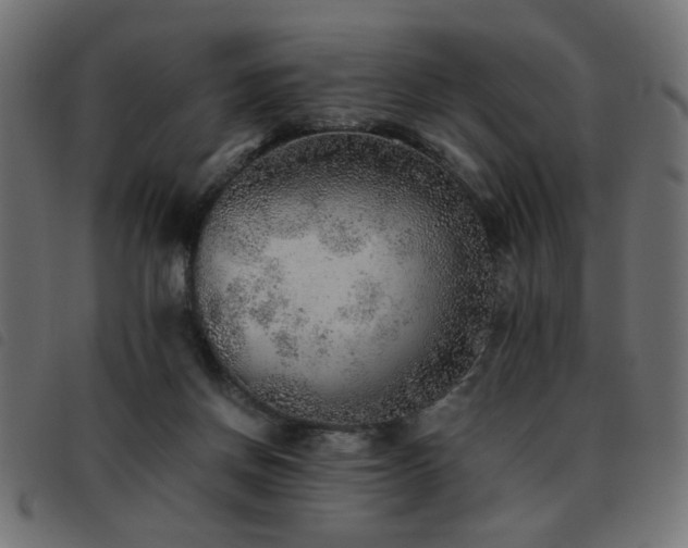 X0000093440166200710121340