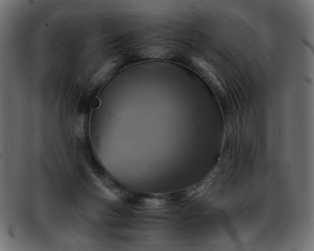 X0000093440167200710121340