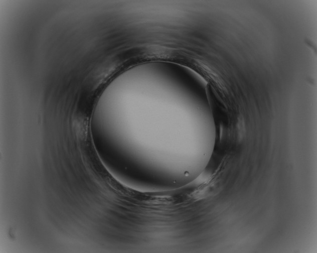 X0000093440168200710121340