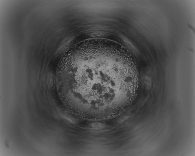 X0000093440169200710121340