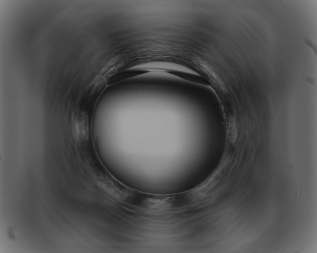 X0000093440170200710121340