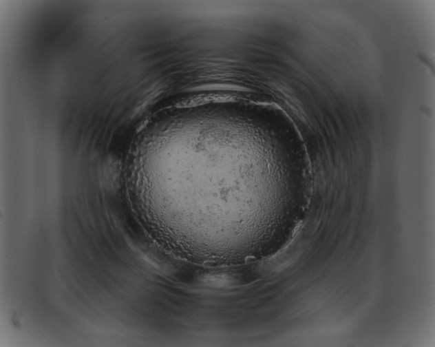 X0000093440171200710121340
