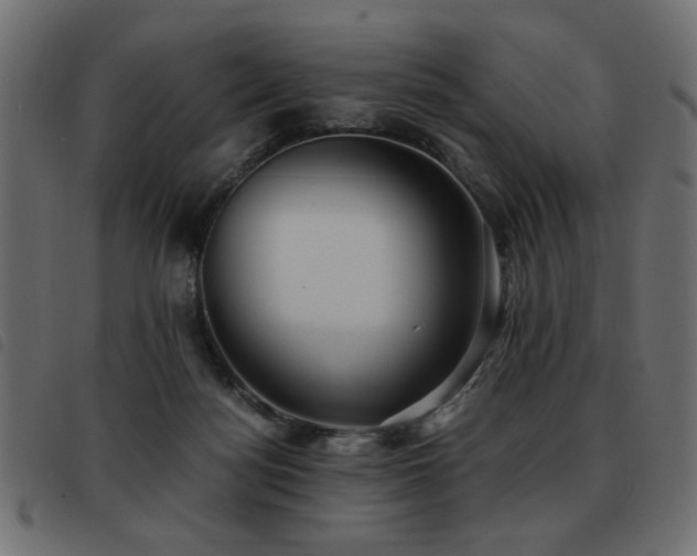 X0000093440172200710121340