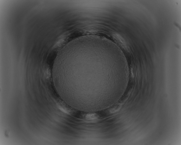 X0000093440173200710121340