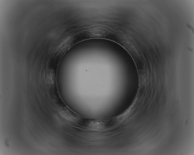 X0000093440174200710121340