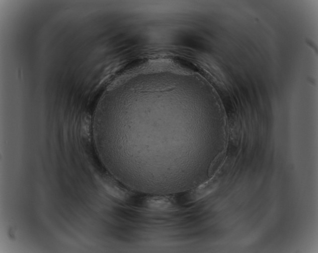 X0000093440175200710121340