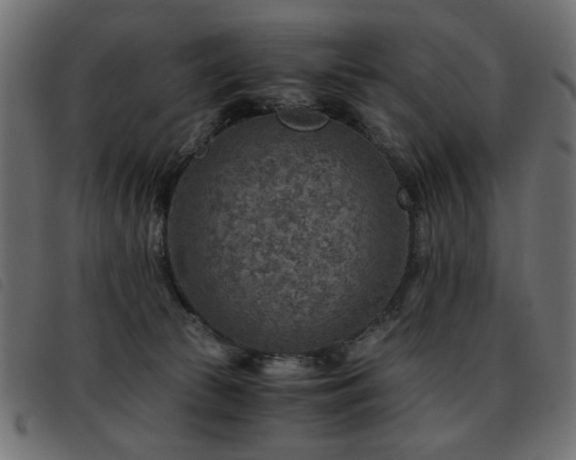 X0000093440177200710121340