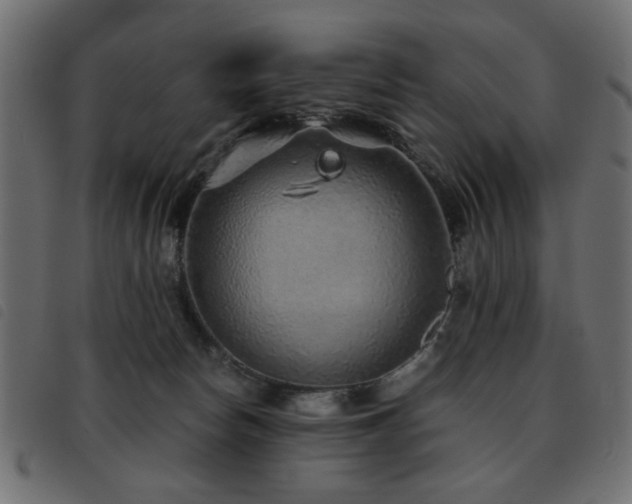 X0000093440178200710121340