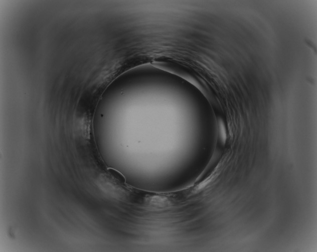 X0000093440180200710121341