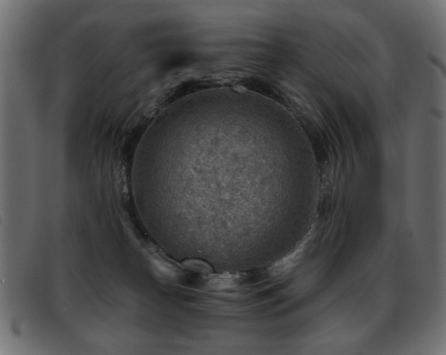 X0000093440182200710121341