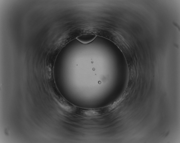 X0000093440183200710121341