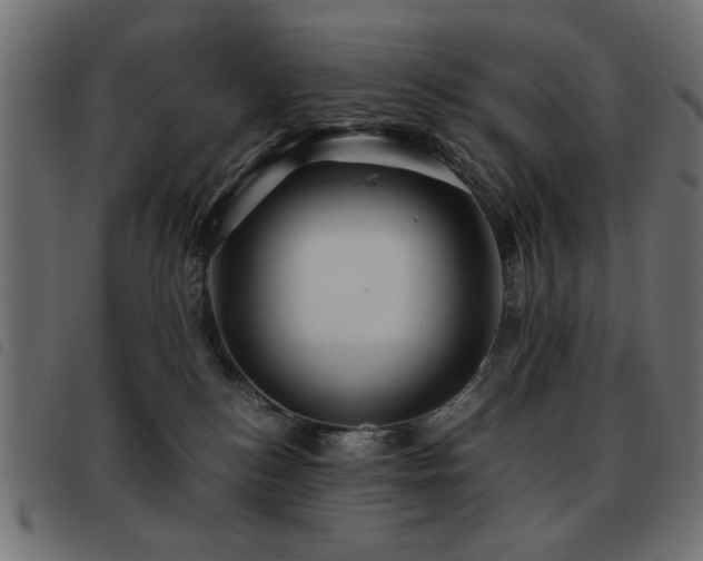 X0000093440184200710121341