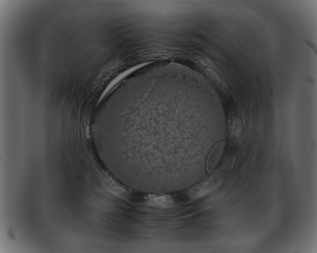 X0000093440185200710121341