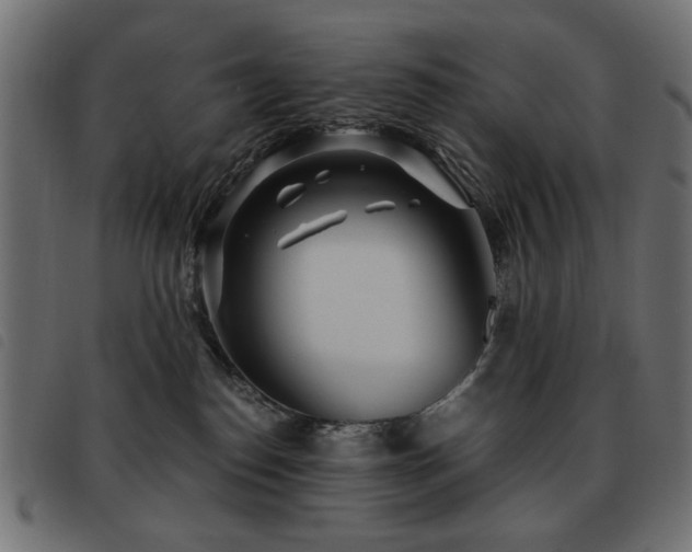 X0000093440186200710121341