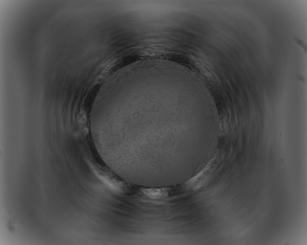 X0000093440187200710121341