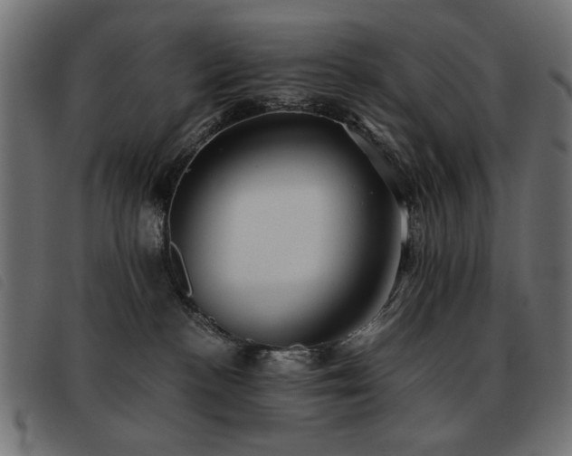 X0000093440188200710121341