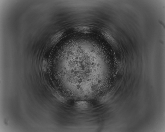 X0000093440189200710121341