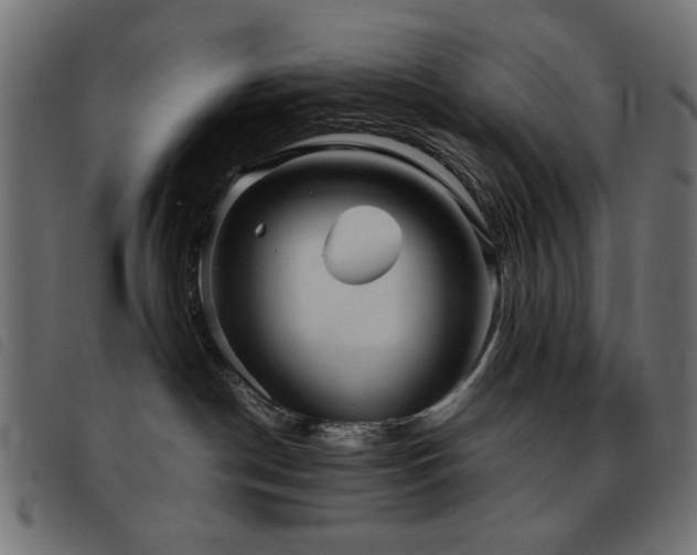 X0000093440190200710121341
