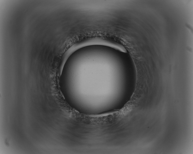 X0000093440192200710121341