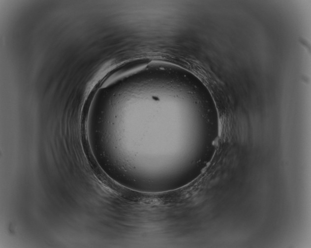 X0000093440195200710121340