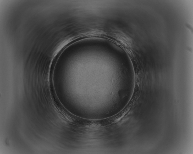 X0000093440196200710121340