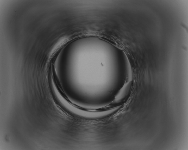 X0000093440197200710121340