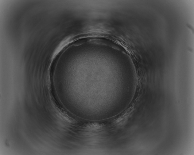 X0000093440198200710121340