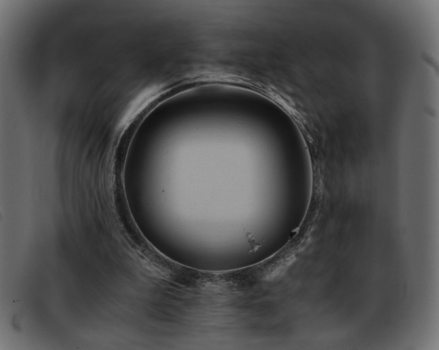 X0000093440199200710121340