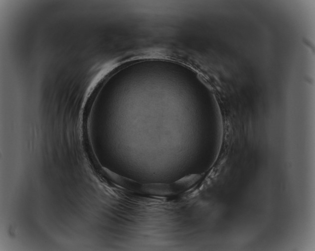 X0000093440200200710121340