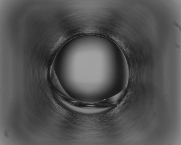 X0000093440201200710121340
