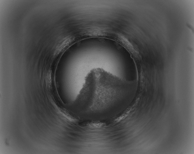 X0000093440202200710121340