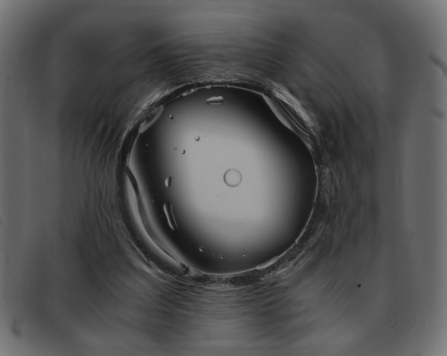 X0000093440203200710121340