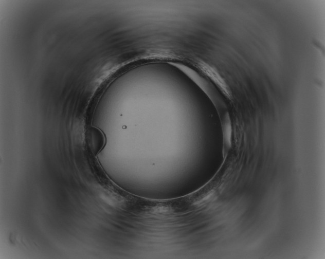 X0000093440204200710121340