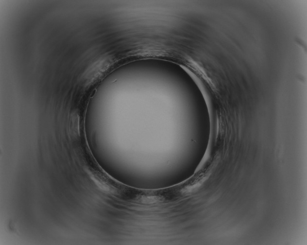 X0000093440205200710121340