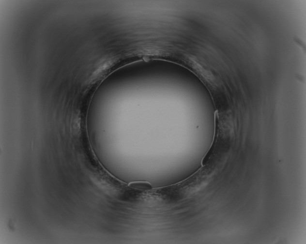 X0000093440207200710121340