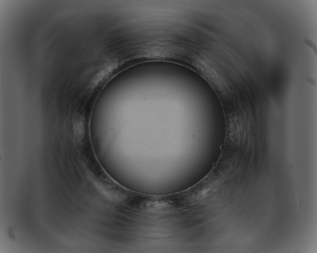 X0000093440208200710121340
